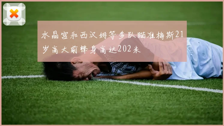 水晶宫和西汉姆等多队瞄准梅斯21岁高大前锋身高达202米