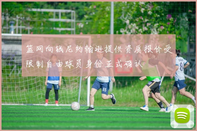 篮网向钱尼约翰逊提供资质报价受限制自由球员身份正式确认